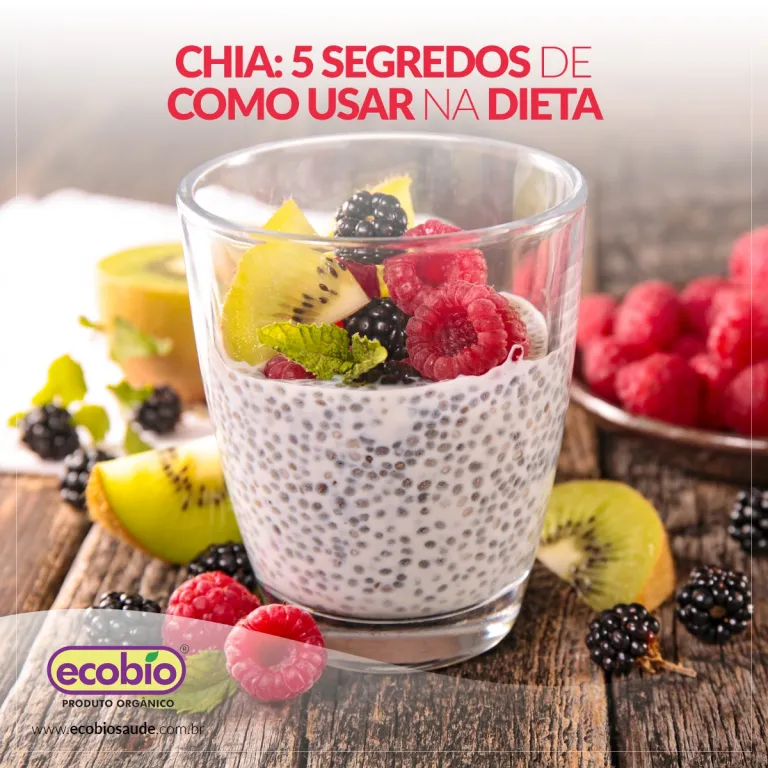 Chia: 5 Segredos de como usar na Dieta